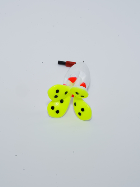DSC00357_34