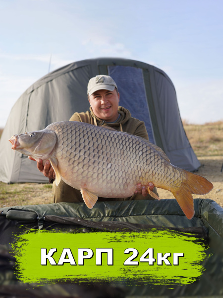 https://ir.ozone.ru/s3/multimedia-1-1/8642414017.jpg