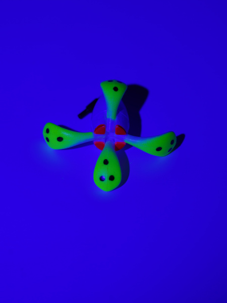 DSC00339_34