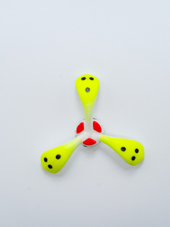 DSC00111_34